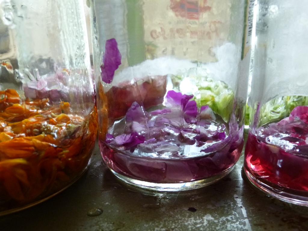 Petals and Boiling Water to Make DIY Ink photo
