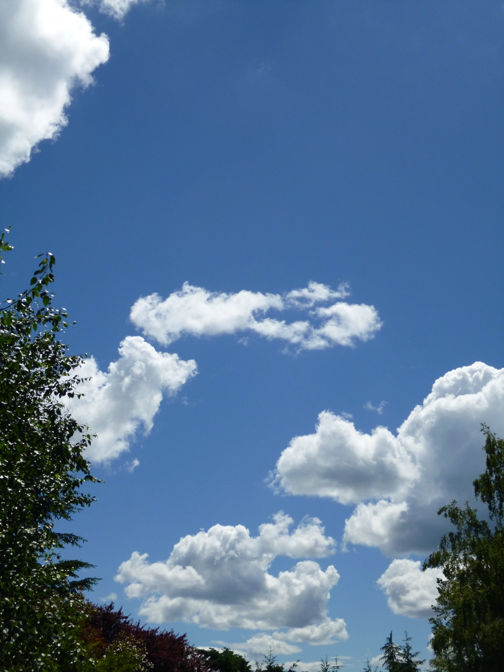 In Praise of Puffy Clouds